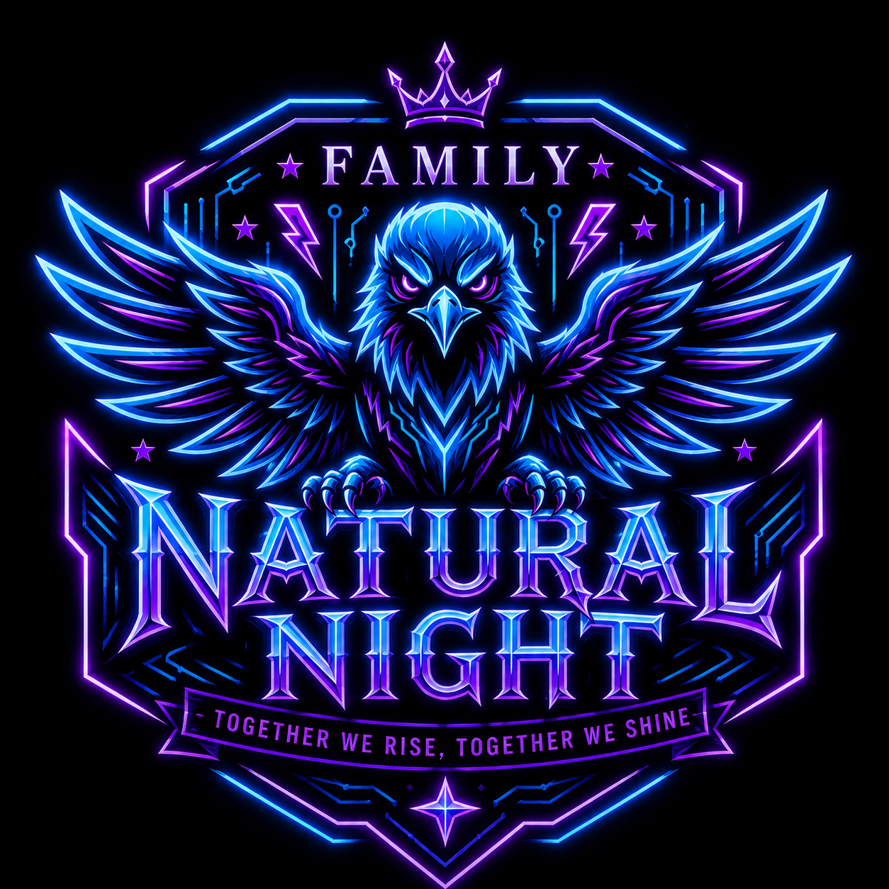Natural Night logo
